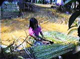 Kinderarbeit ist keine Seltenheit.